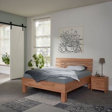 Beuken Basic Varna 01 Beuken Basic Varna 01
