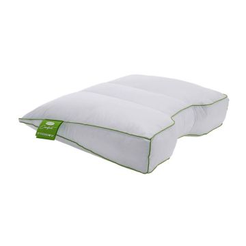 Silvana Comfort Grün (extra fest) Kissen Silvana Comfort Grün (extra fest) Kissen