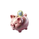 Budgetauswahl